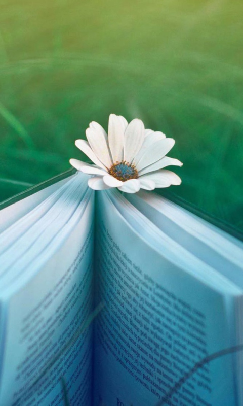 Das Flower And Book Wallpaper 480x800