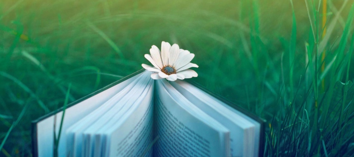 Das Flower And Book Wallpaper 720x320