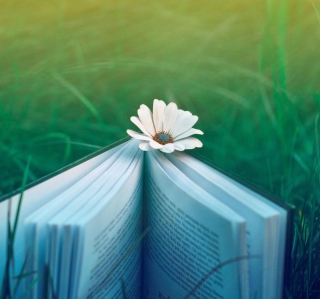 Kostenloses Flower And Book Wallpaper für iPad