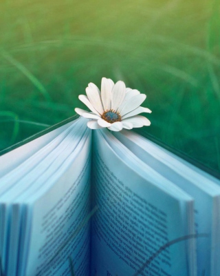 Flower And Book Picture for 480x800