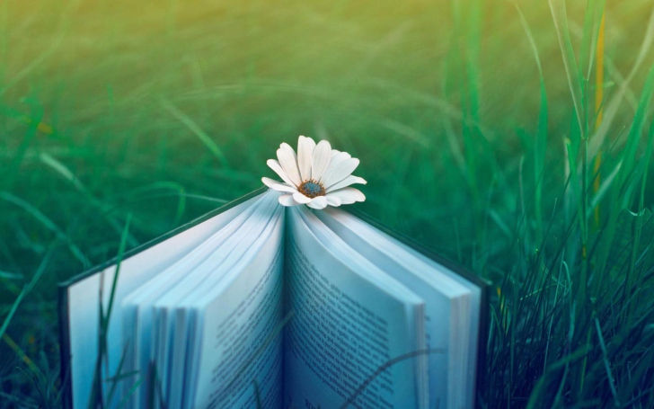 Das Flower And Book Wallpaper