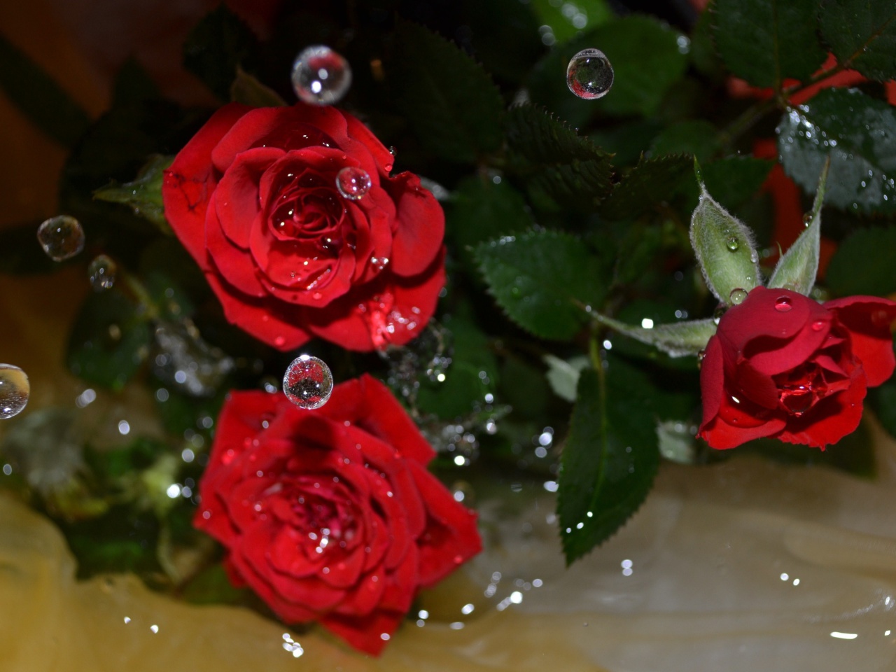 Drops on roses wallpaper 1280x960