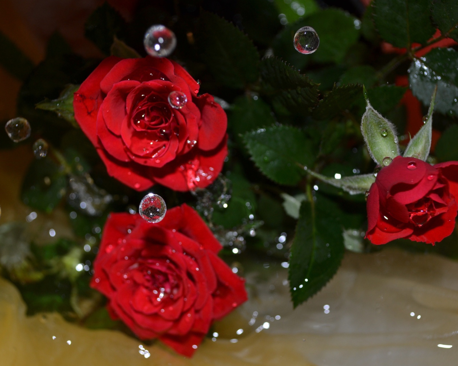 Drops on roses wallpaper 1600x1280
