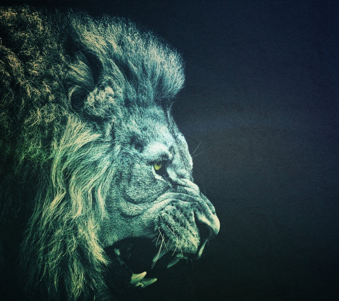 Fondo de pantalla Lion 1080x960