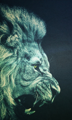 Das Lion Wallpaper 240x400