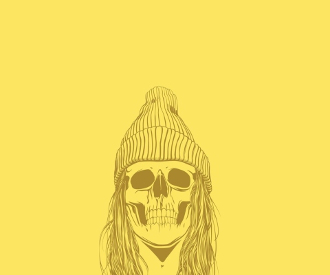 Das Skull In Hat Wallpaper 480x400