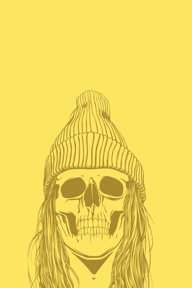 Sfondi Skull In Hat 640x960