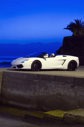 Lamborghini screenshot #1 320x480