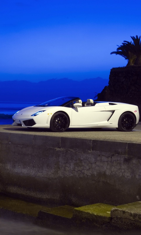 Fondo de pantalla Lamborghini 480x800