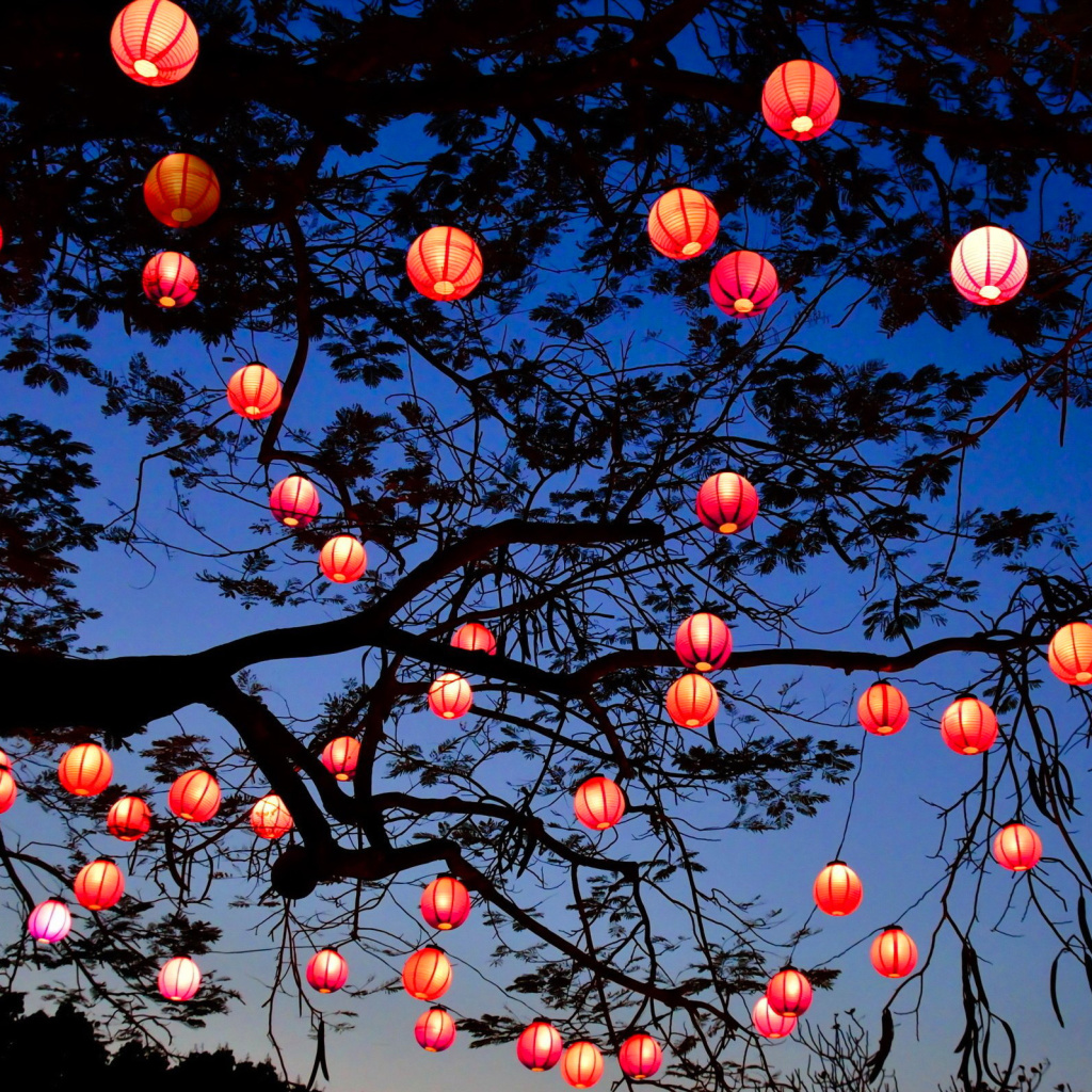 Das Chinese New Year Lanterns Wallpaper 1024x1024