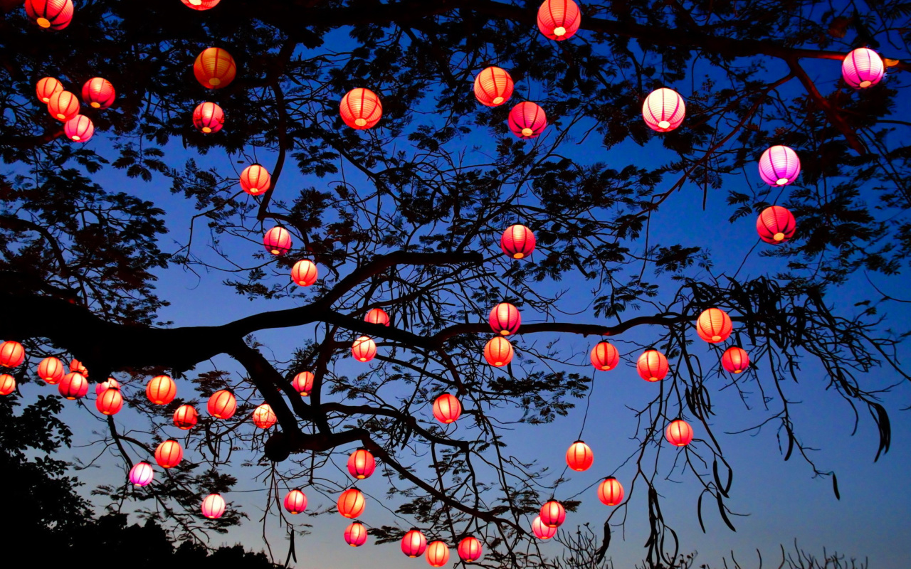 Fondo de pantalla Chinese New Year Lanterns 1280x800