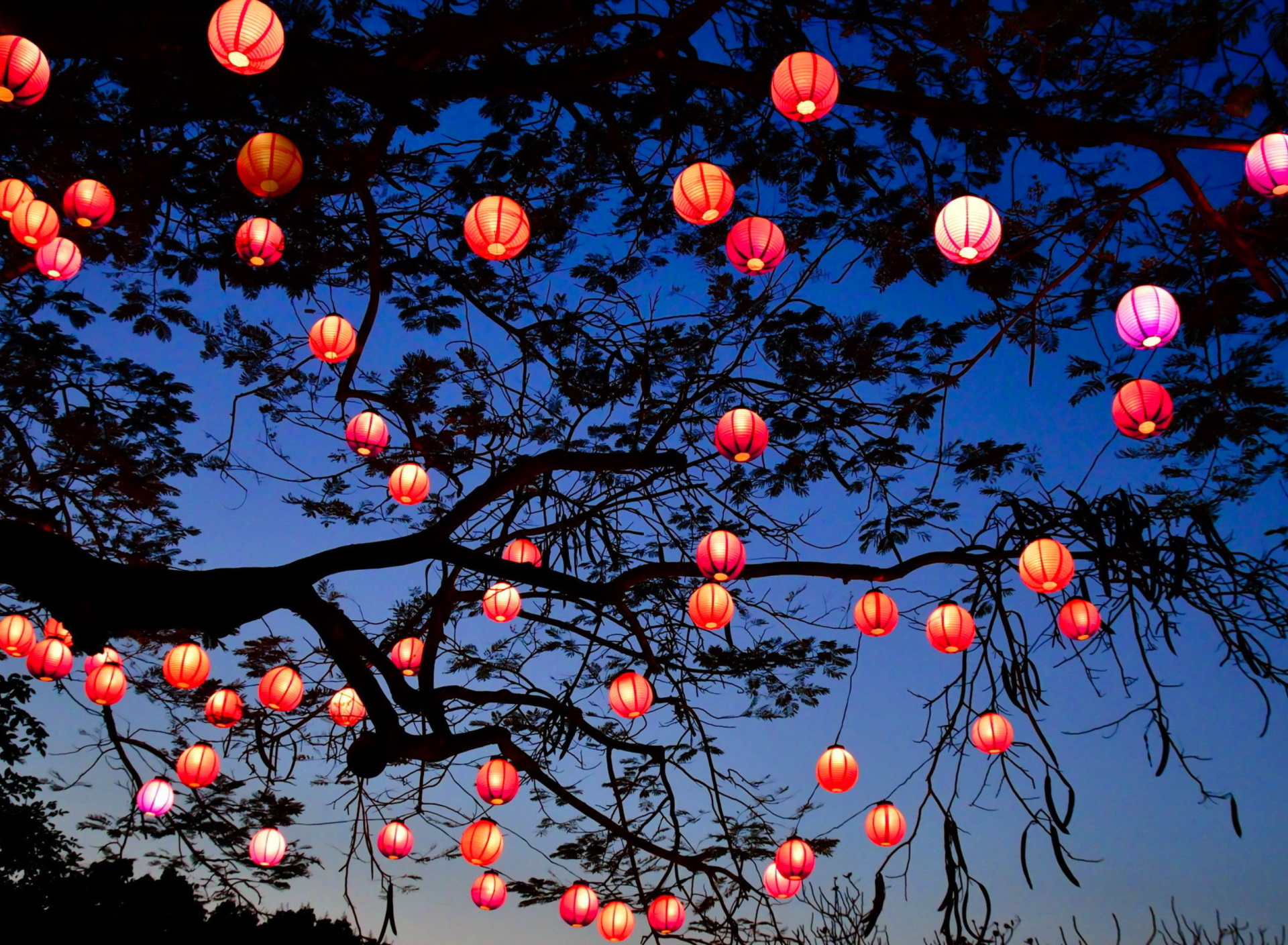 Das Chinese New Year Lanterns Wallpaper 1920x1408