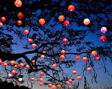 Das Chinese New Year Lanterns Wallpaper 220x176