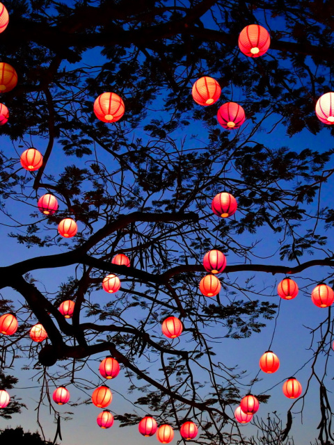 Chinese New Year Lanterns wallpaper 480x640