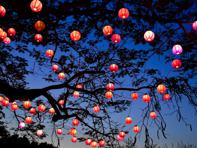 Обои Chinese New Year Lanterns 640x480