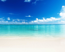 Turquoise Water Beach screenshot #1 220x176