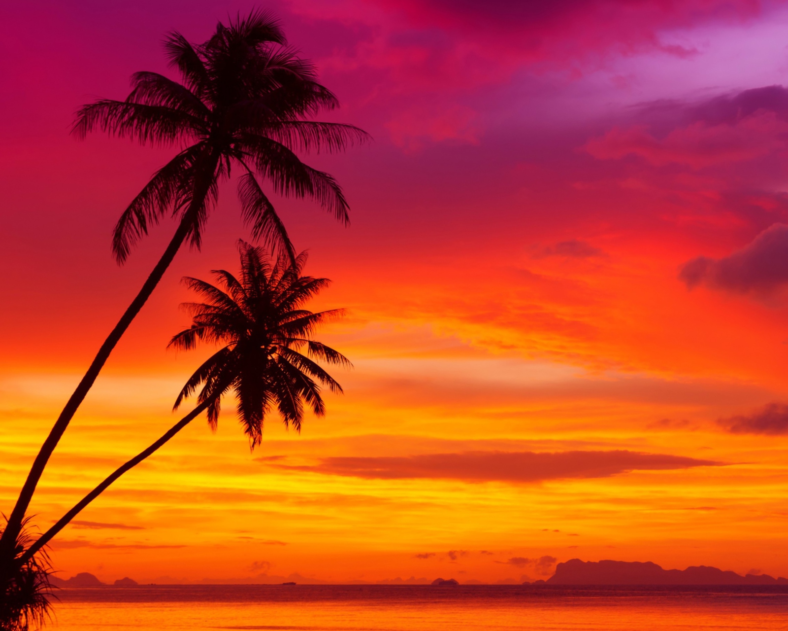 Обои Amazing Pink And Orange Tropical Sunset 1600x1280