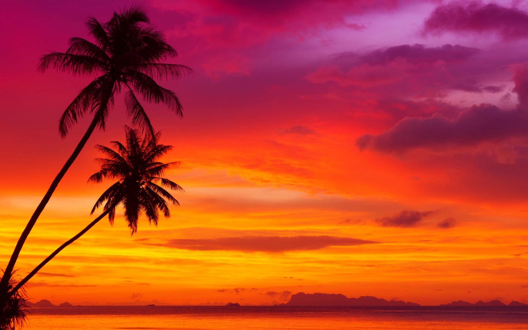 Fondo de pantalla Amazing Pink And Orange Tropical Sunset 1680x1050