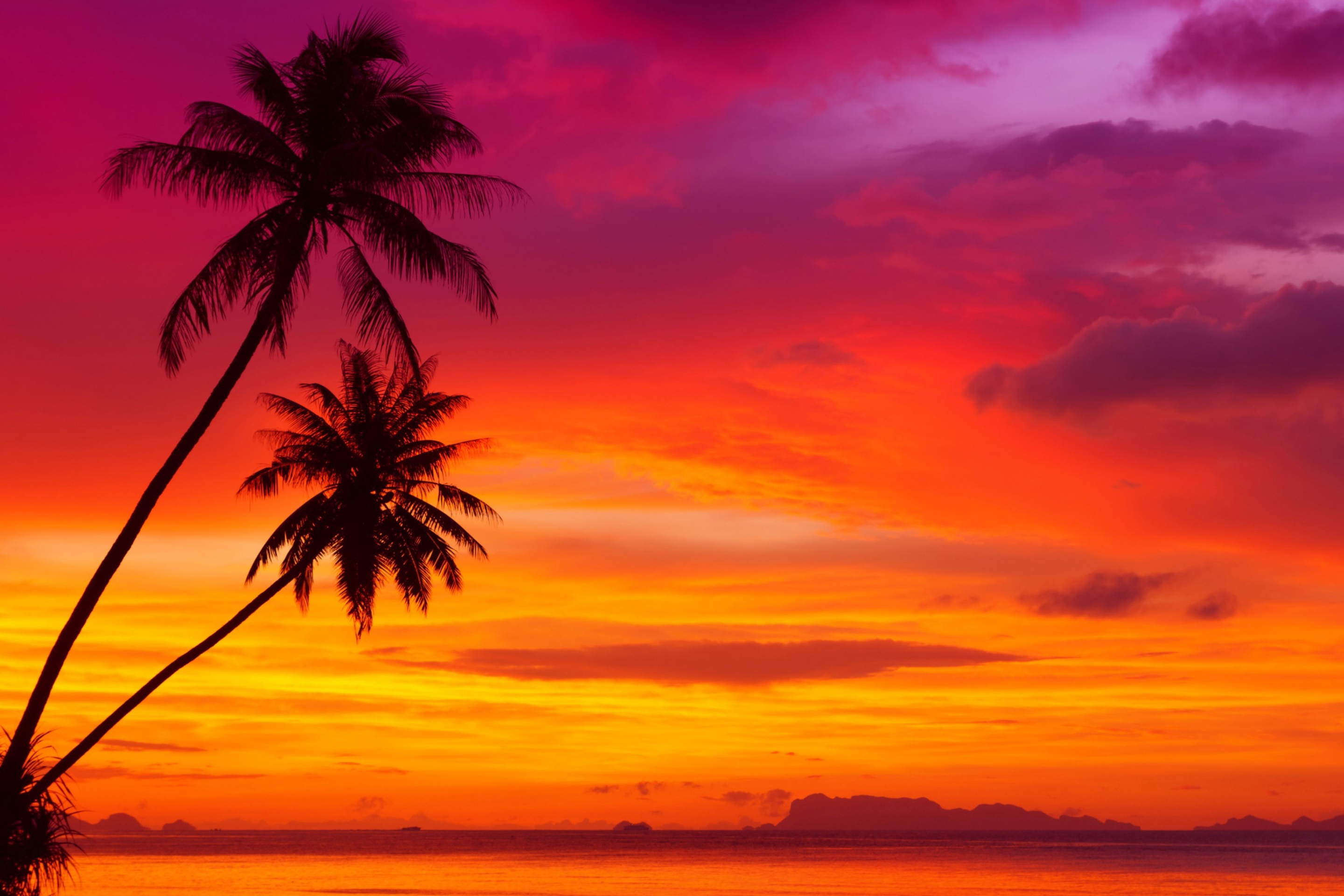 Fondo de pantalla Amazing Pink And Orange Tropical Sunset 2880x1920