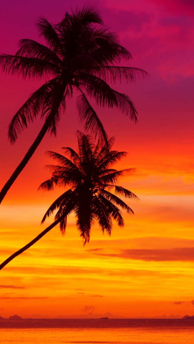 Sfondi Amazing Pink And Orange Tropical Sunset 640x1136