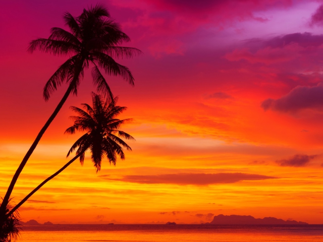 Das Amazing Pink And Orange Tropical Sunset Wallpaper 640x480