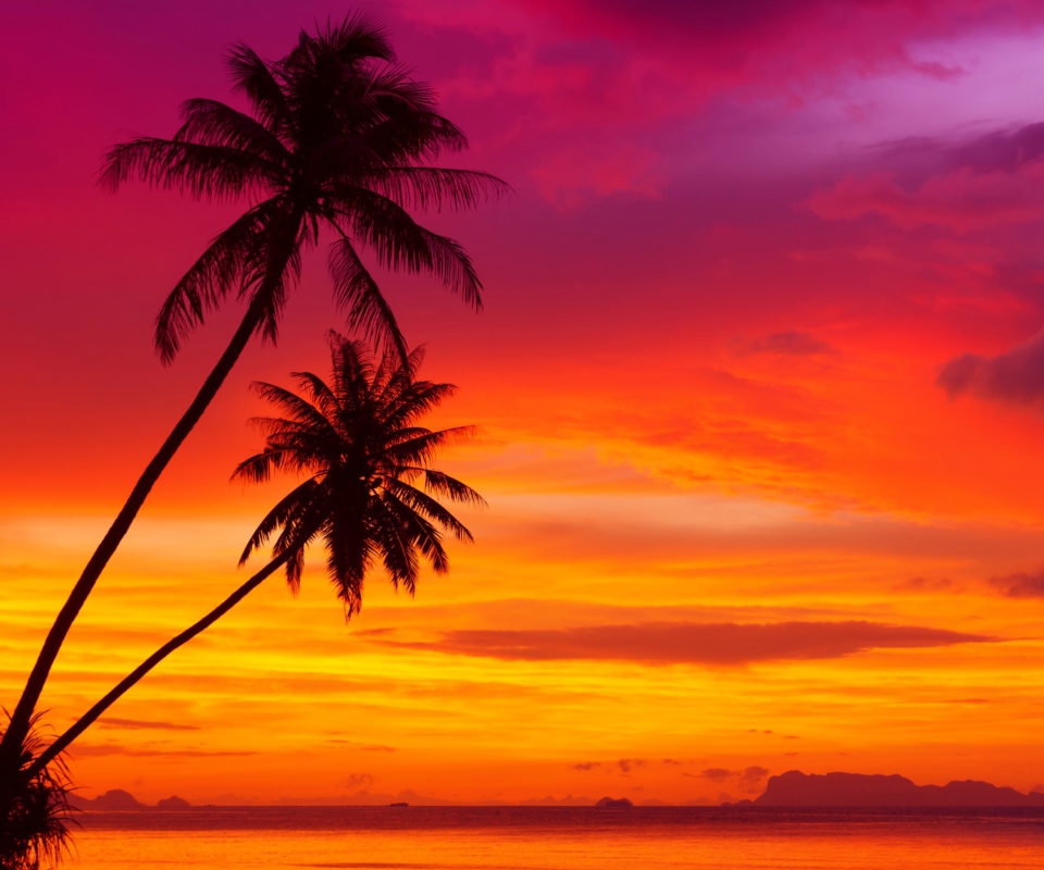 Amazing Pink And Orange Tropical Sunset screenshot #1 960x800
