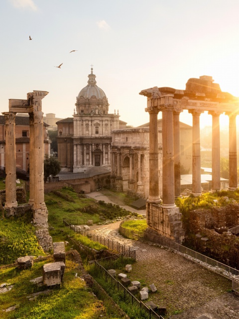 Обои Roman Forum in Rome Italy 480x640