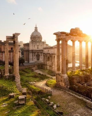 Roman Forum in Rome Italy Picture for 240x320