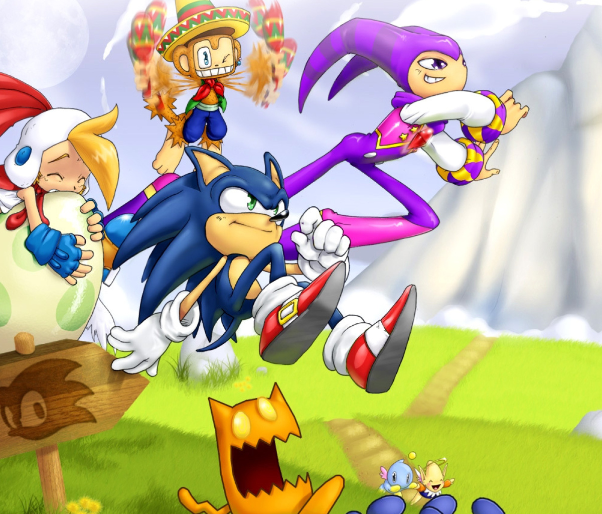 Обои Sonic the Hedgehog 1200x1024