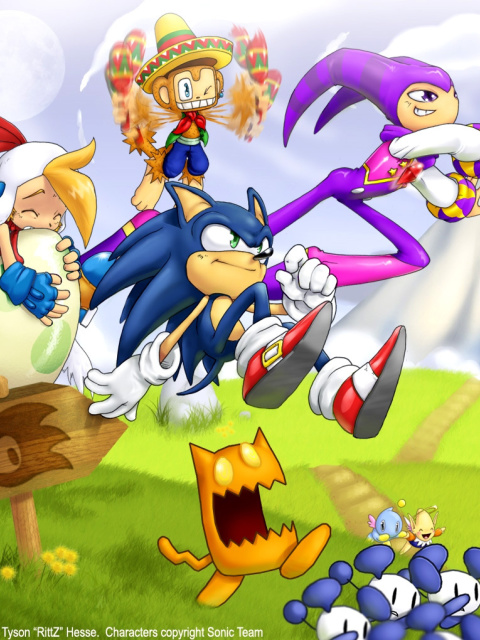 Обои Sonic the Hedgehog 480x640