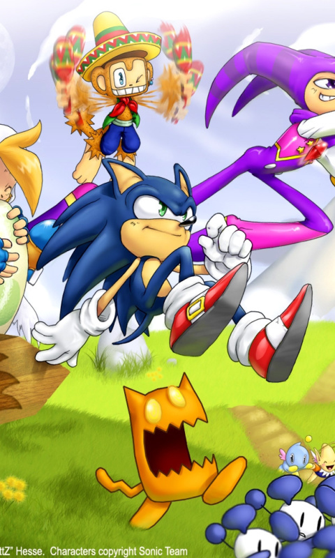 Обои Sonic the Hedgehog 480x800