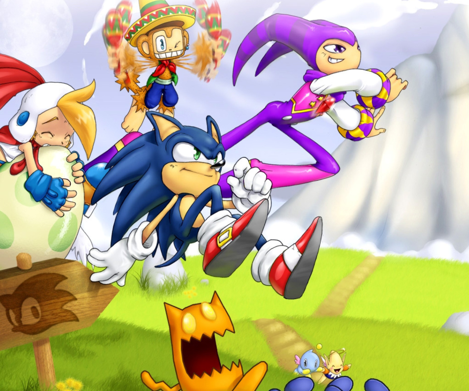 Screenshot №1 pro téma Sonic the Hedgehog 960x800