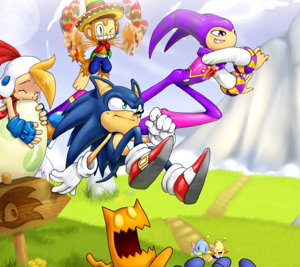 Screenshot №1 pro téma Sonic the Hedgehog 960x854