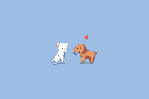 Обои Dog And Cat On Blue Background 480x320