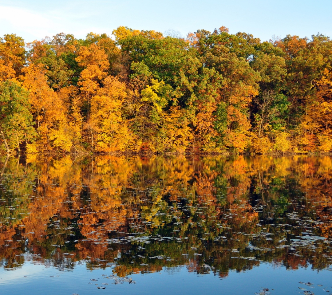 Das Beautiful Autumn Reflection Wallpaper 1080x960