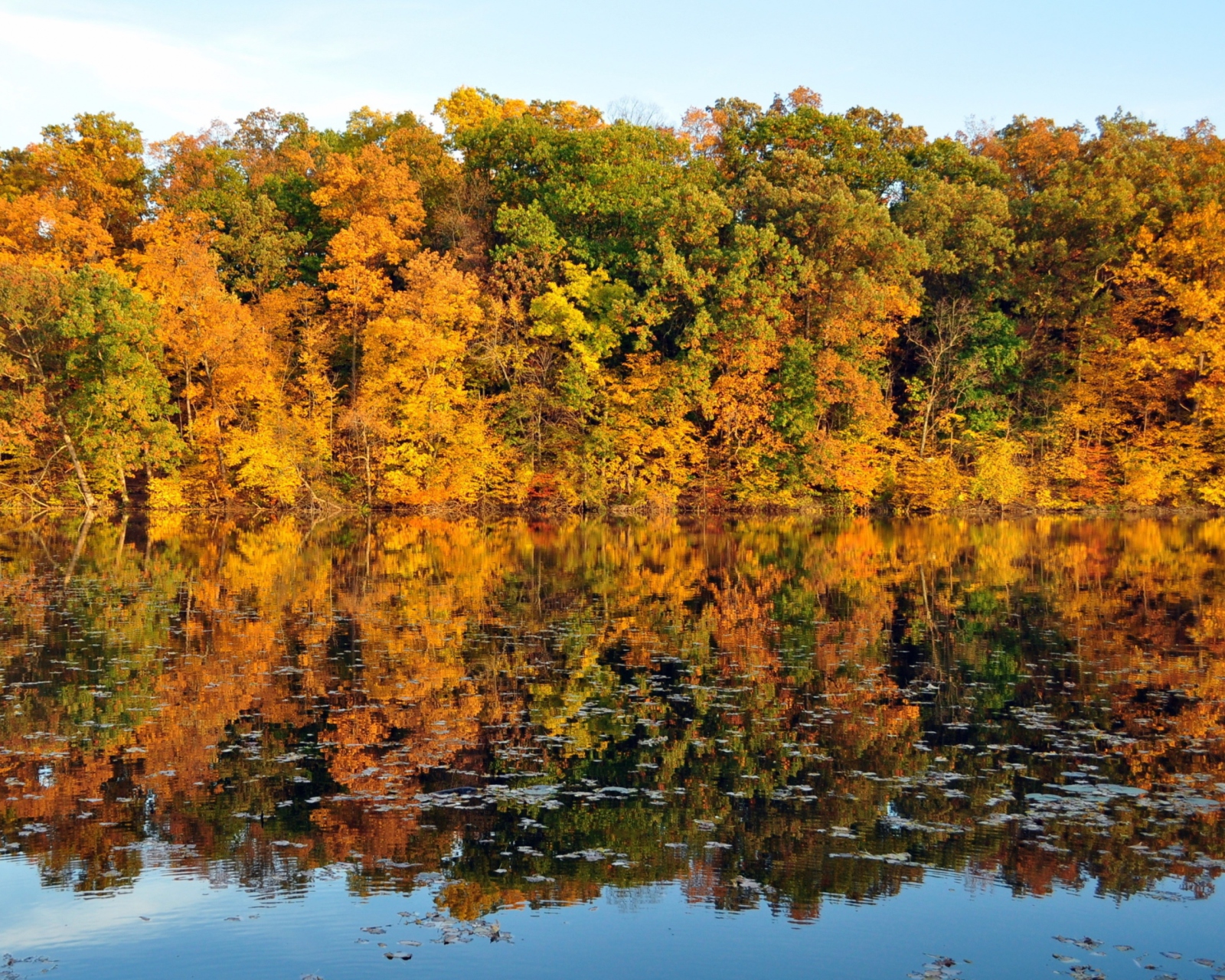 Beautiful Autumn Reflection wallpaper 1600x1280