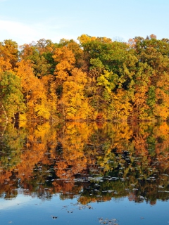 Das Beautiful Autumn Reflection Wallpaper 240x320