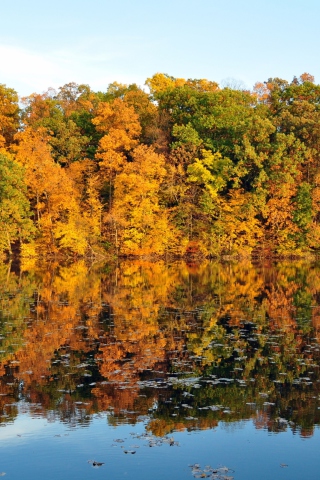 Das Beautiful Autumn Reflection Wallpaper 320x480