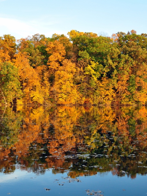 Fondo de pantalla Beautiful Autumn Reflection 480x640