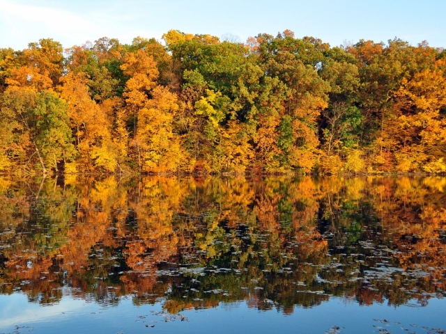 Das Beautiful Autumn Reflection Wallpaper 640x480