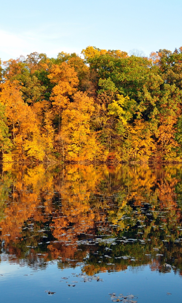 Beautiful Autumn Reflection wallpaper 768x1280