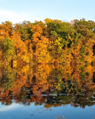 Beautiful Autumn Reflection - Obrázkek zdarma pro Nokia X1-00