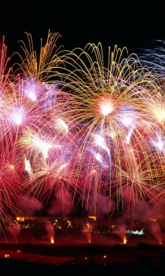 Das New Years Fireworks Wallpaper 240x400