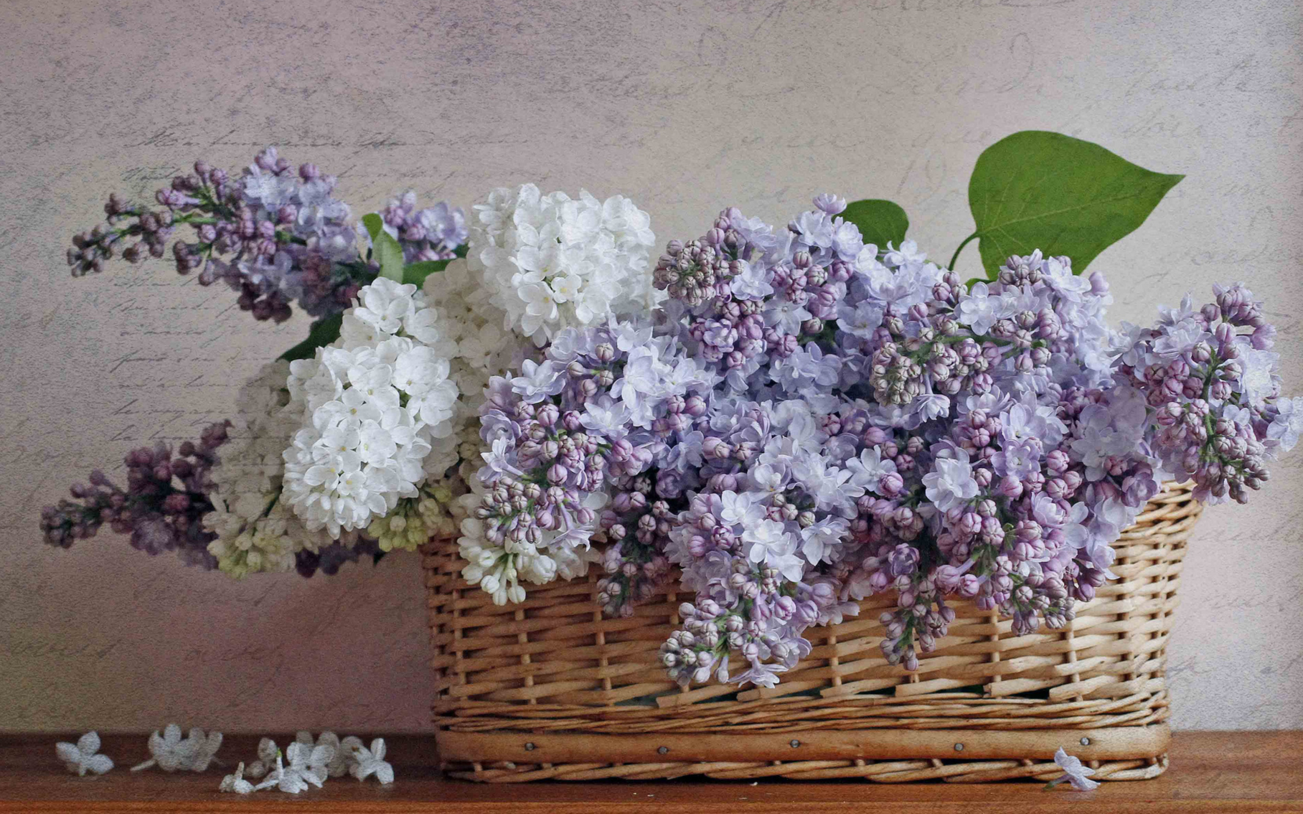 Das Lilac Basket Wallpaper 2560x1600
