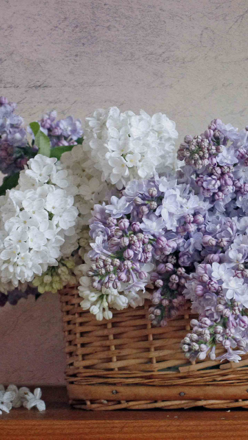 Обои Lilac Basket 360x640