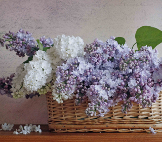 Lilac Basket - Obrázkek zdarma pro iPad 3