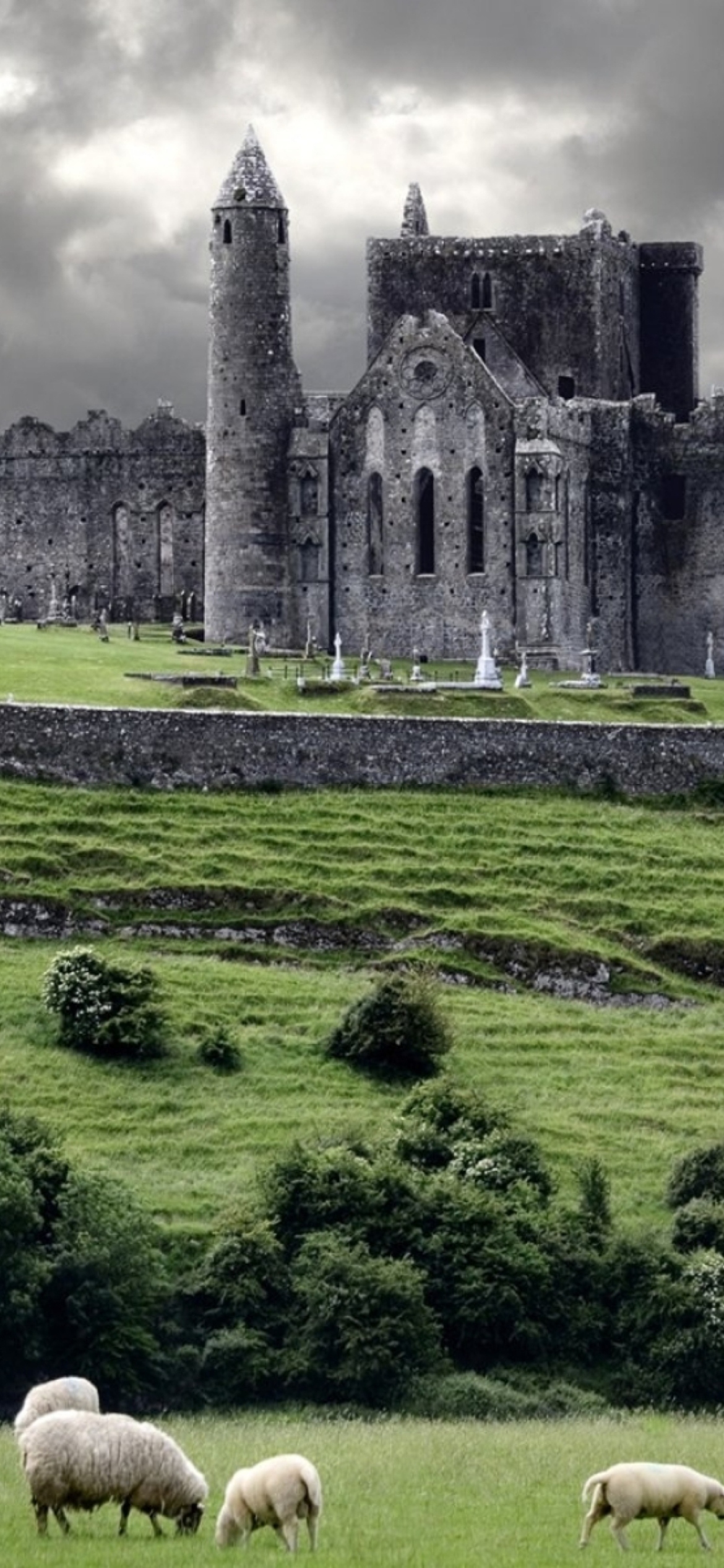 Sfondi Ireland Landscape With Sheep And Castle 1170x2532