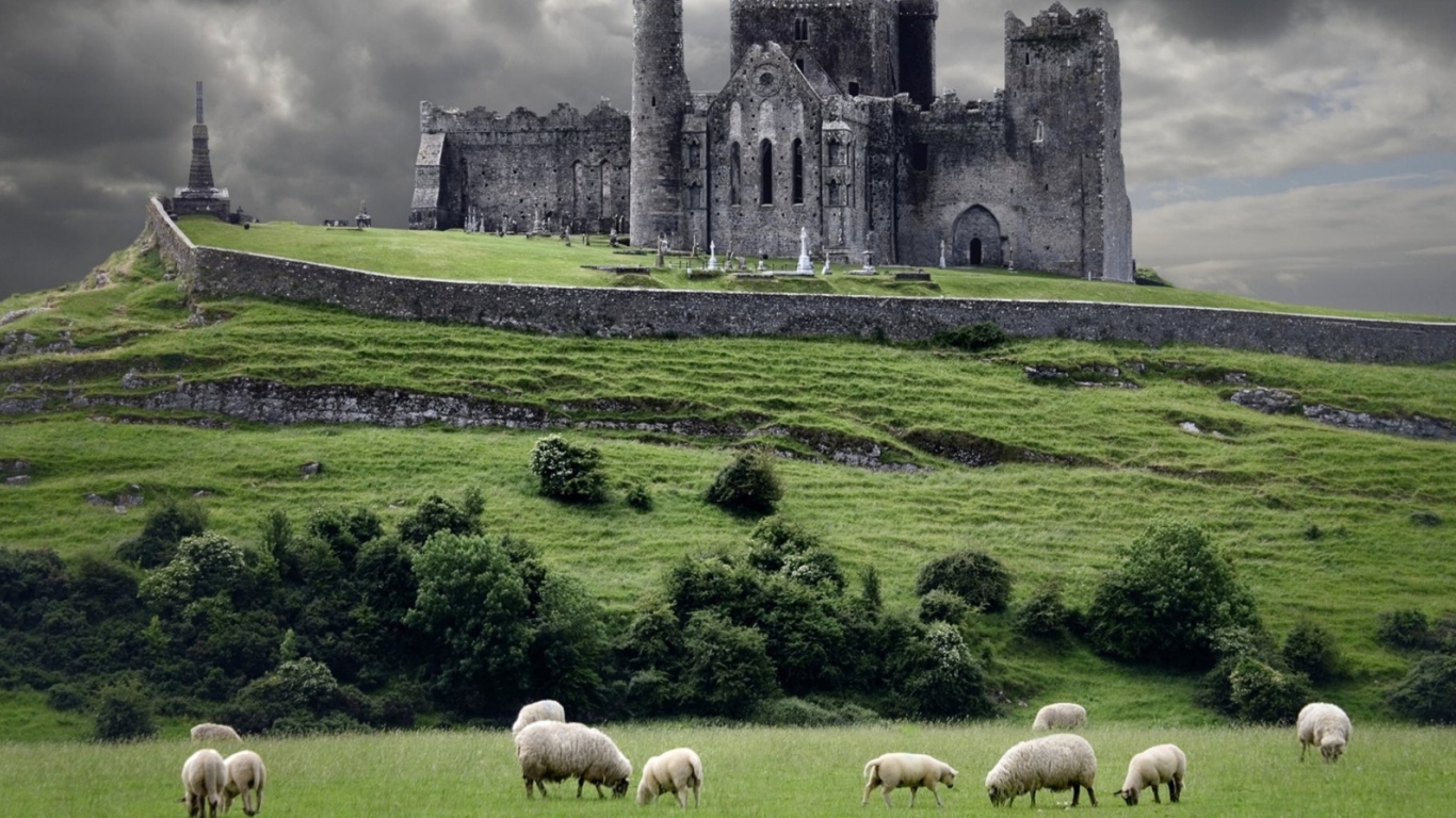 Sfondi Ireland Landscape With Sheep And Castle 1366x768