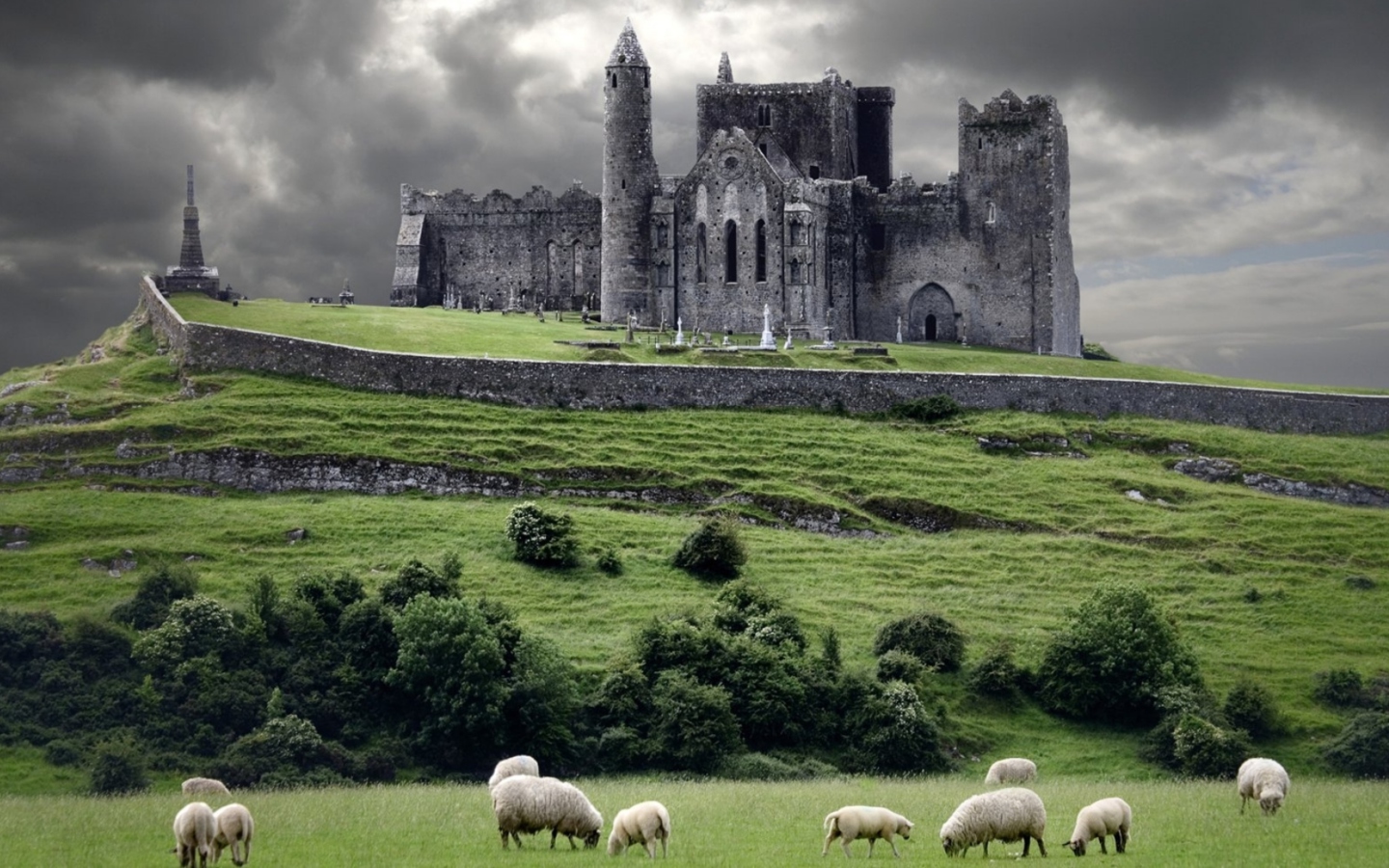 Das Ireland Landscape With Sheep And Castle Wallpaper 1440x900