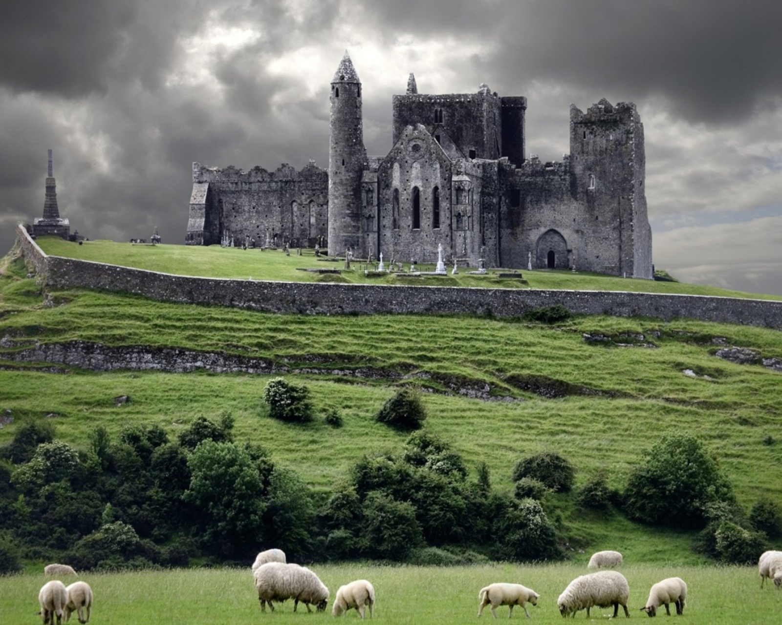 Das Ireland Landscape With Sheep And Castle Wallpaper 1600x1280